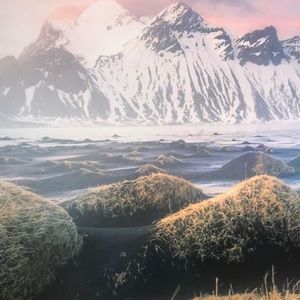 Meet your Posher, Preston